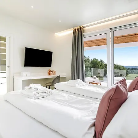 Luxury Sonia With Wellness & Gym Labin (Istria)
