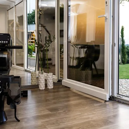 Luxury Sonia With Wellness & Gym - Happy Labin (Istria)