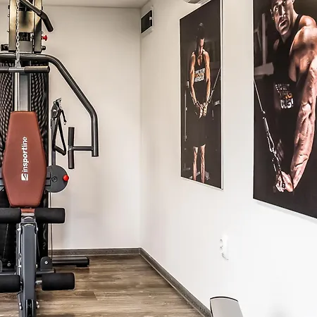 Villa Luxury Sonia With Wellness & Gym Labin (Istria)